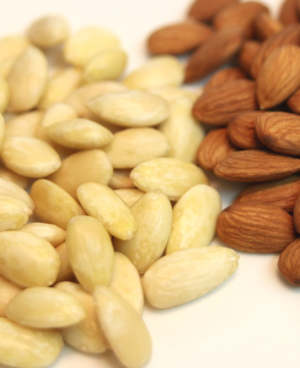 Exporter of almonds|Supplier of almonds|Exporter and supplier of almonds