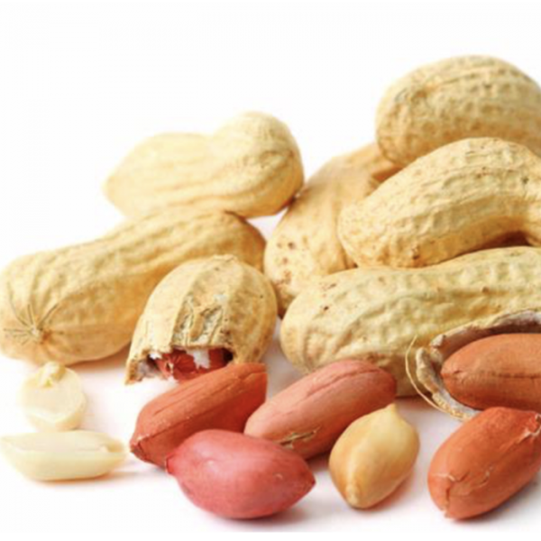 peanuts-best quality of peanuts exporter and supplier|peanuts supplier|Exporter of peanuts