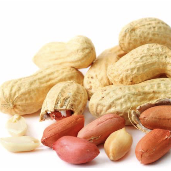 peanuts-best quality of peanuts exporter and supplier|peanuts supplier|Exporter of peanuts