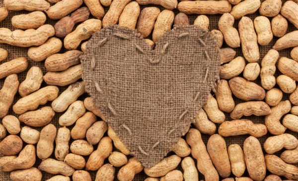 peanuts-best quality of peanuts exporter and supplier|peanuts supplier|Exporter of peanuts|